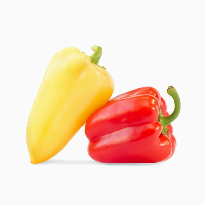 سویشرت طرح زرین بال سویشرت طرح زرین بال