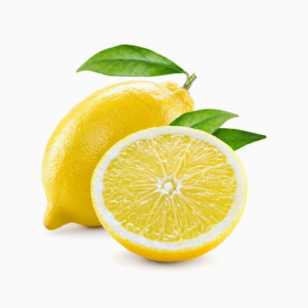 ماگ آغاز ماجراجویی