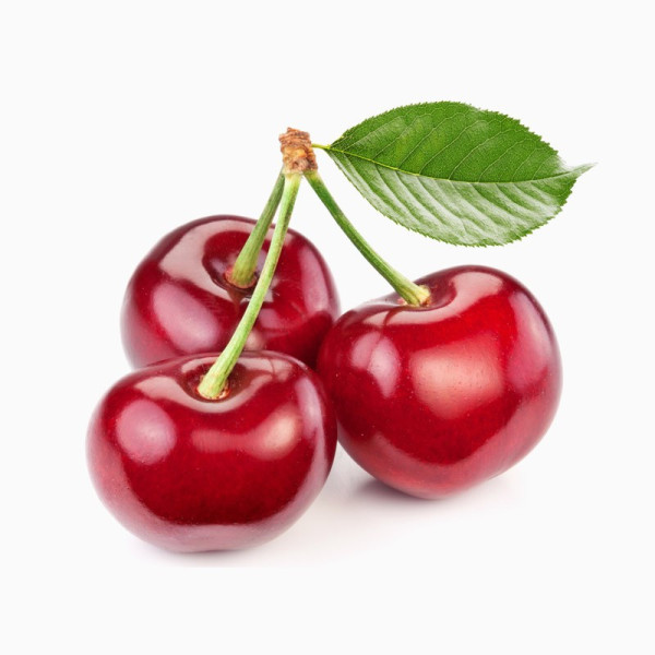 دفترچه خرس قهوه ای