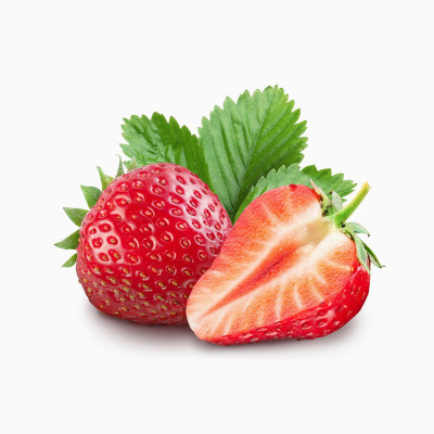 دفترچه خرس قهوه ای دفترچه خرس قهوه ای