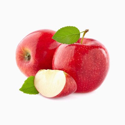 دفترچه یادداشت دفترچه یادداشت